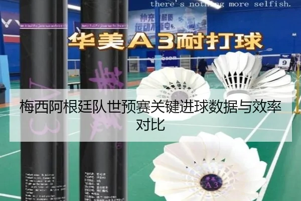 梅西阿根廷队世预赛关键进球数据与效率对比